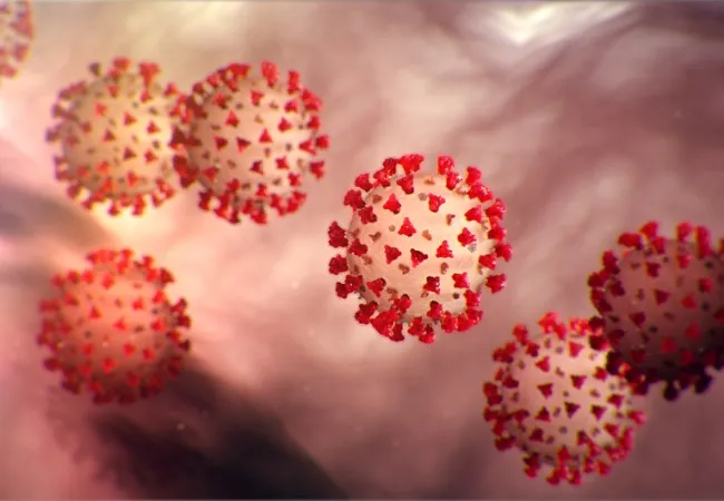 coronavirus update for today in tamilnadu 